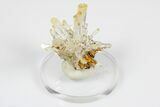 Mango Quartz Crystal Cluster - Cabiche, Colombia #188352-2